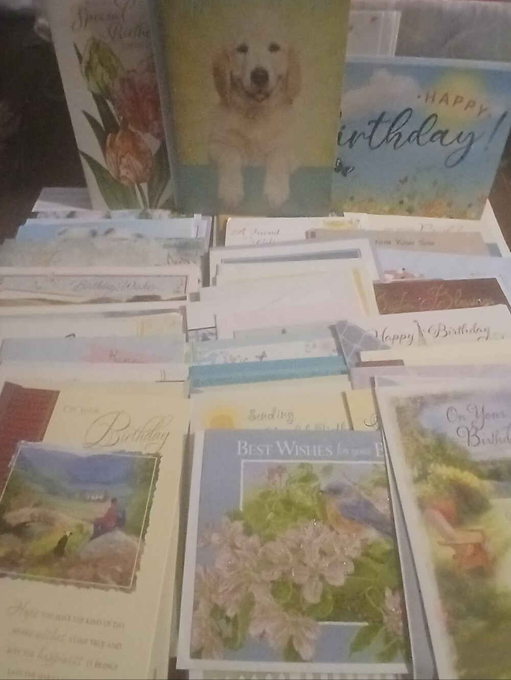 Assorted Greeting Card Set - Pastel Multi-Color